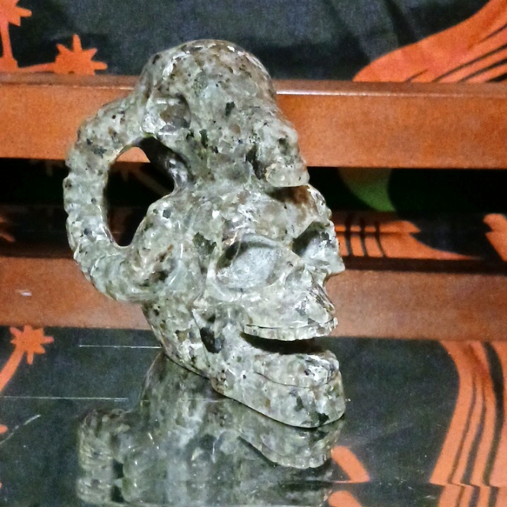 Yoooerlite Skull with Ram Head